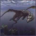 thumb_1489 (Medium).jpg